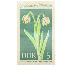 Почтовая марка 5 пфеннигов 1969 года Восточная Германия (ГДР) «Охраняемые растения — Белоцветник весенний» — Фото №1