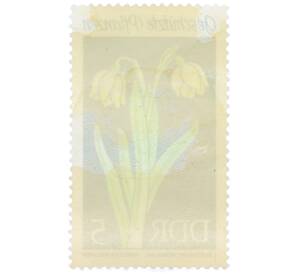 Почтовая марка 5 пфеннигов 1969 года Восточная Германия (ГДР) «Охраняемые растения — Белоцветник весенний» — Фото №2