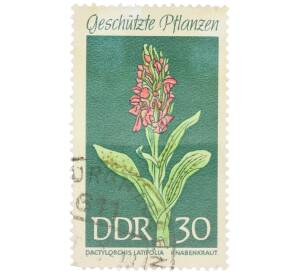 Почтовая марка 30 пфеннигов 1969 года Восточная Германия (ГДР) «Охраняемые растения — Пальчатокоренник широколистный» — Фото №1