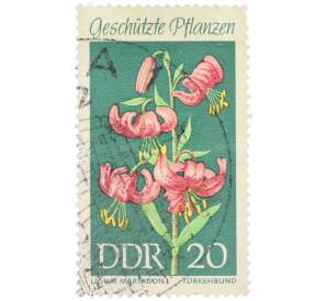 Почтовая марка 20 пфеннигов 1969 года Восточная Германия (ГДР) «Охраняемые местные растения — Лилия кудреватая» — Фото №1