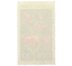 Почтовая марка 20 пфеннигов 1969 года Восточная Германия (ГДР) «Охраняемые местные растения — Лилия кудреватая» — Фото №2