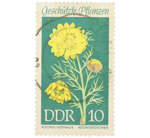 Почтовая марка 10 пфеннигов 1969 года Восточная Германия (ГДР) «Охраняемые растения — Адонис весенний» — Фото №1