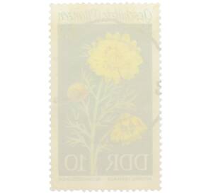 Почтовая марка 10 пфеннигов 1969 года Восточная Германия (ГДР) «Охраняемые растения — Адонис весенний» — Фото №2