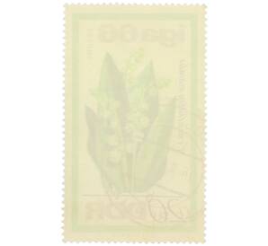 Почтовая марка 20 пфеннигов 1966 года Восточная Германия (ГДР) «Выставка цветов IGA 66 в Эрфурте — Ландыш майский» — Фото №2