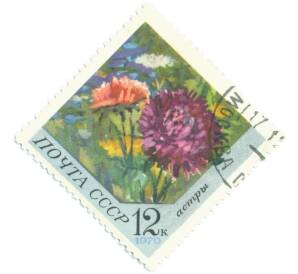 Почтовая марка 12 копеек 1970 года «Цветы — Астры» — Фото №1