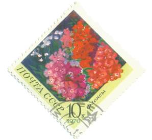 Почтовая марка 10 копеек 1970 года «Цветы — Флоксы» — Фото №1