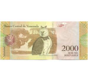 2000 боливаров 2016 года Венесуэла — Фото №2