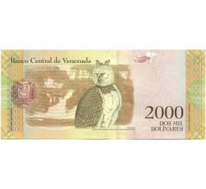 2000 боливаров 2016 года Венесуэла — Фото №2