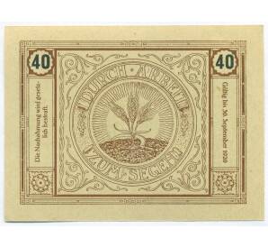 40 геллеров 1920 года Австрия — община Бишофштеттен (Нотгельд) — Фото №2