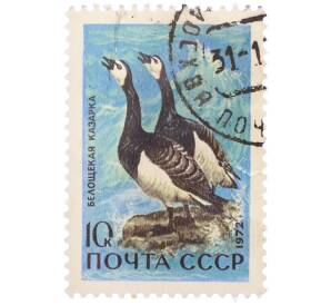 Почтовая марка 10 копеек 1972 года «Заповедники — Белощекая казарка» — Фото №1