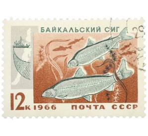 Почтовая марка 12 копеек 1966 года «Промысловые рыбы — Байкальский сиг» — Фото №1