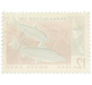 Почтовая марка 12 копеек 1966 года «Промысловые рыбы — Байкальский сиг» — Фото №2
