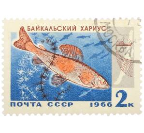 Почтовая марка 2 копейки 1966 года «Промысловые рыбы — Байкальский хариус» — Фото №1