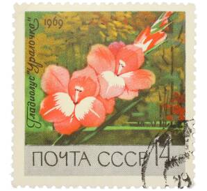 Почтовая марка 14 копеек 1969 года «Цветы — Гладиолус Уралочка» — Фото №1