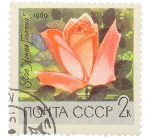 Почтовая марка 2 копейки 1969 года «Цветы — Роза Ясная Поляна» — Фото №1