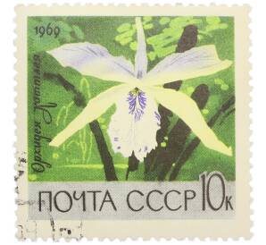 Почтовая марка 10 копеек 1969 года «Цветы — Орхидея каттлея» — Фото №1