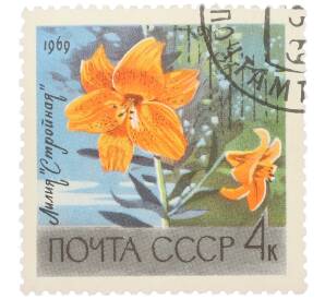 Почтовая марка 4 копейки 1969 года «Цветы — Лилия Стройная» — Фото №1