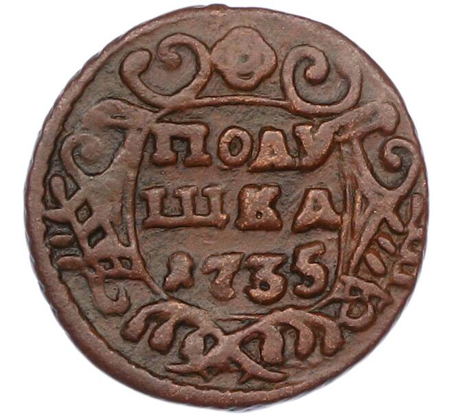 Монета Полушка 1735 года (Артикул: K7-1441) — Фото №1