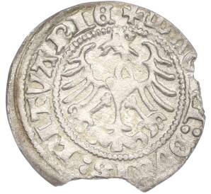 1/2 гроша 1513 года Литва — Фото №2