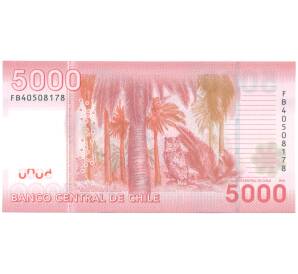 5000 песо 2014 года Чили — Фото №2