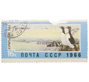 Почтовая марка 16 копеек 1966 года «Советский Дальний Восток — Курильские острова (Птичий базар)» — Фото №1