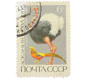 Почтовая марка 6 копеек 1968 года «Государственные заповедники — Аскания-Нова (Страус и золотой фазан)» — Фото №1