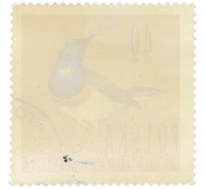 Почтовая марка 40 грошей 1964 года Польша «Водоплавающие птицы — Варакушка» — Фото №2