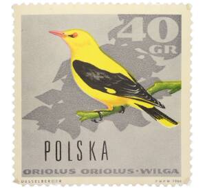 Почтовая марка 40 грошей 1966 года Польша «Птицы — Обыкновенная иволга» — Фото №1