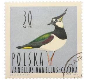 Почтовая марка 30 грошей 1964 года Польша «Водоплавающие птицы — Чибис» — Фото №1