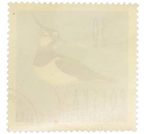 Почтовая марка 30 грошей 1964 года Польша «Водоплавающие птицы — Чибис» — Фото №2