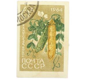 Почтовая марка 6 копеек 1964 года «Сельскохозяйственные культуры — Горох посевной Рамонский-77» — Фото №1