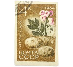 Почтовая марка 4 копейки 1964 года «Сельскохозяйственные культуры — Картофель Лорх» — Фото №1