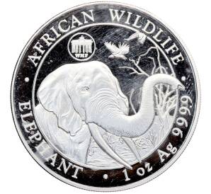 100 шиллингов 2018 года Сомали «Дикая природа Африки — Слон» — Фото №1