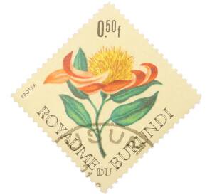 Почтовая марка 0.50 франка 1966 года Бурунди «Цветы — Протея» — Фото №1
