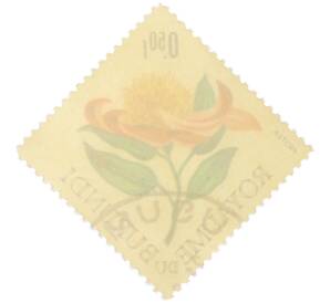 Почтовая марка 0.50 франка 1966 года Бурунди «Цветы — Протея» — Фото №2