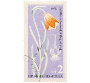 Почтовая марка 2 стотинки 1978 года Болгария «Редкие цветы — Рябчик Дреновского» — Фото №1