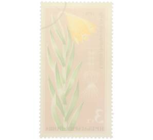 Почтовая марка 3 стотинки 1978 года Болгария «Редкие цветы — Лилия родопская» — Фото №2