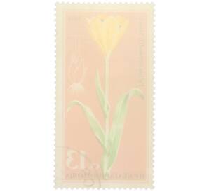 Почтовая марка 13 стотинок 1978 года Болгария «Редкие цветы — Тюльпан Урумова» — Фото №2