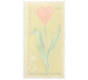Почтовая марка 43 стотинки 1978 года Болгария «Редкие цветы — Тюльпан родопский» — Фото №2