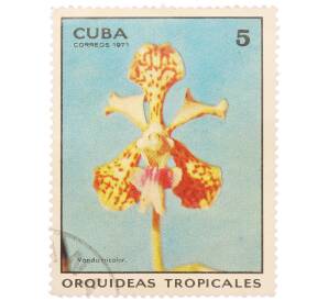 Почтовая марка 5 сентаво 1971 года Куба «Тропические орхидеи — Ванда трёхцветная» — Фото №1