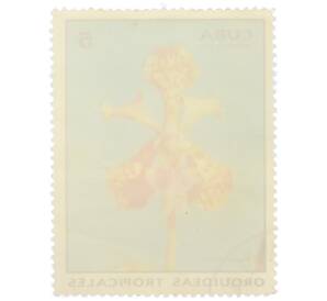 Почтовая марка 5 сентаво 1971 года Куба «Тропические орхидеи — Ванда трёхцветная» — Фото №2