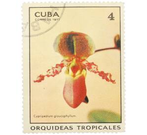 Почтовая марка 4 сентаво 1971 года Куба «Тропические орхидеи — Пафиопедилюм сизолистный» — Фото №1
