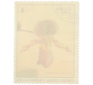 Почтовая марка 4 сентаво 1971 года Куба «Тропические орхидеи — Пафиопедилюм сизолистный» — Фото №2