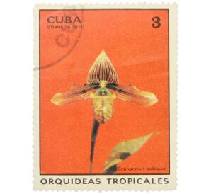 Почтовая марка 3 сентаво 1971 года Куба «Тропические орхидеи — Пафиопедилюм мозолистый» — Фото №1