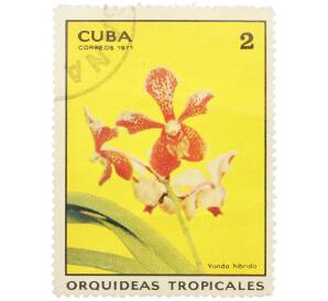 Почтовая марка 2 сентаво 1971 года Куба «Тропические орхидеи — Ванда гибридная» — Фото №1
