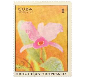 Почтовая марка 1 сентаво 1971 года Куба «Тропические орхидеи — Каттлея Скиннера» — Фото №1