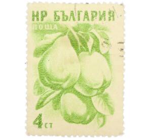 Почтовая марка 4 стотинки 1956 года Болгария «Фрукты — Айва» — Фото №1