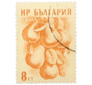 Почтовая марка 8 стотинок 1957 года Болгария «Фрукты — Груши» — Фото №1