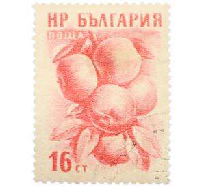 Почтовая марка 16 стотинок 1957 года Болгария «Фрукты — Яблоки» — Фото №1