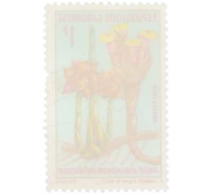 Почтовая марка 1 франк 1969 года Габон «Цветы — Афрамомум многоцветковый» — Фото №2